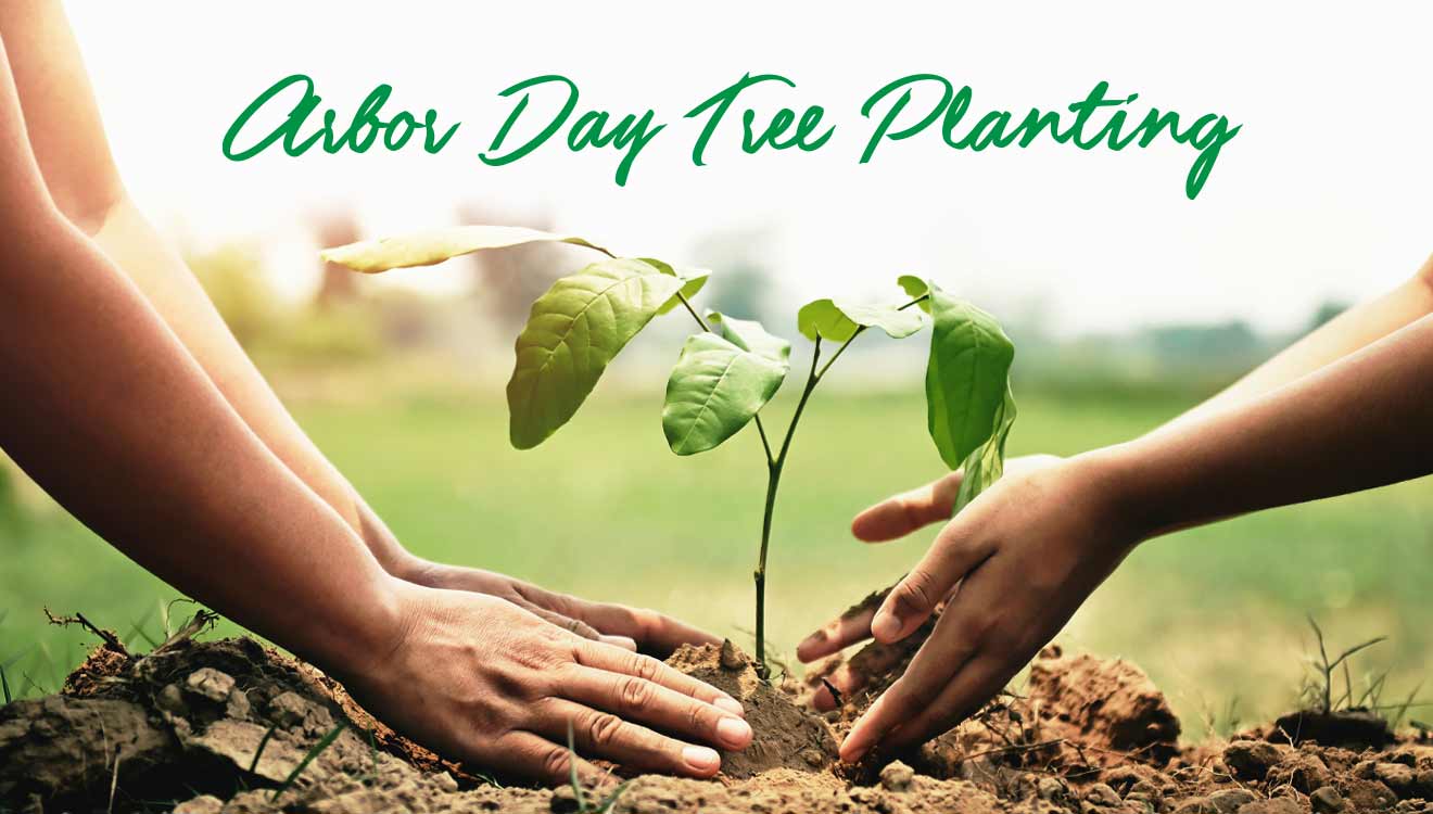 Annual Arbor Day Tree Planting Feature Image